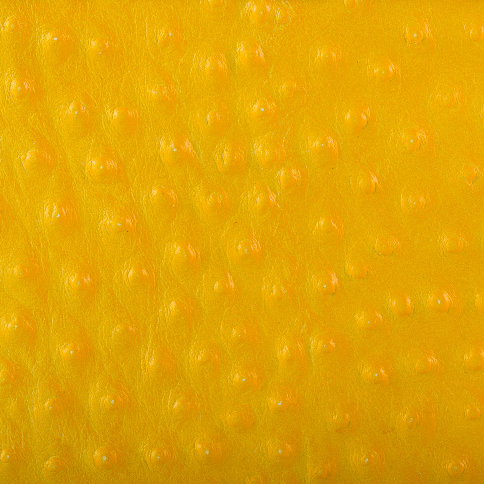 STRUZZO GIRASOLE
