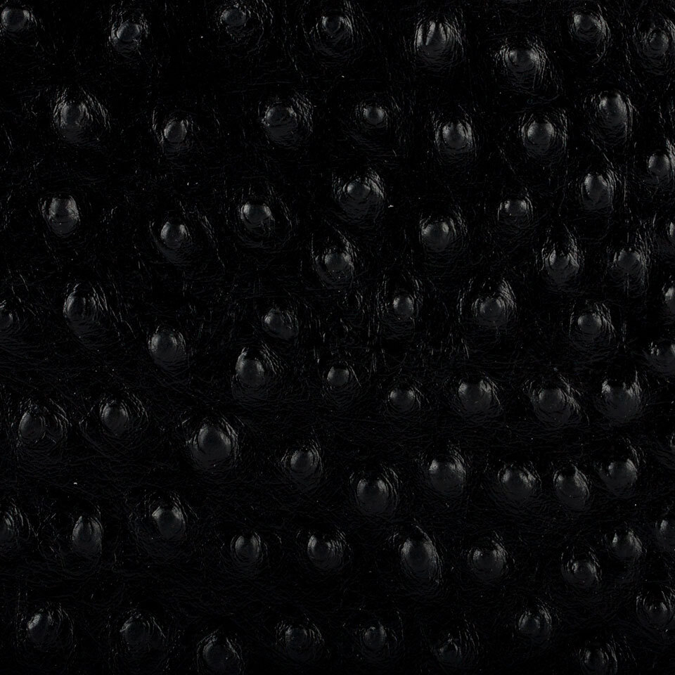 STRUZZO NERO