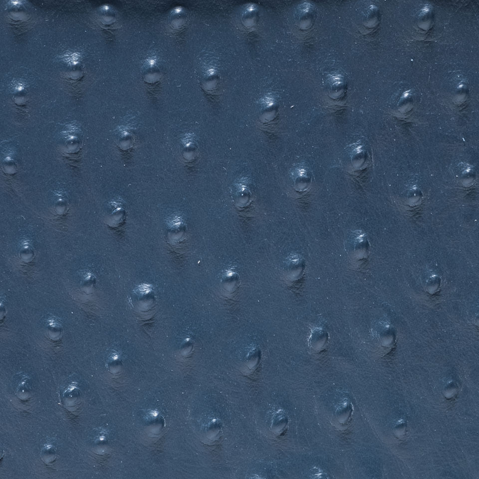 STRUZZO PETROLIO