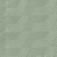 TE017-ER124