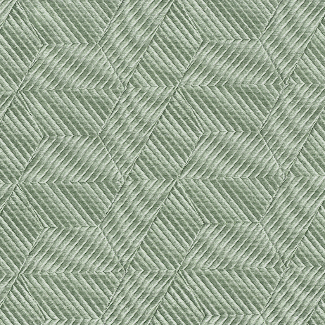 TE017-ER124