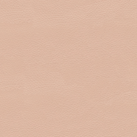 TAURUS BLUSH