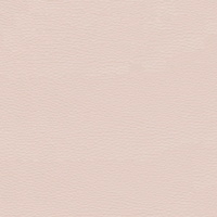 TAURUS NUDE