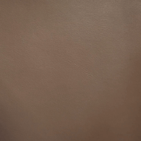 TRESOR TAUPE