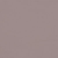 VOGUE BEIGE