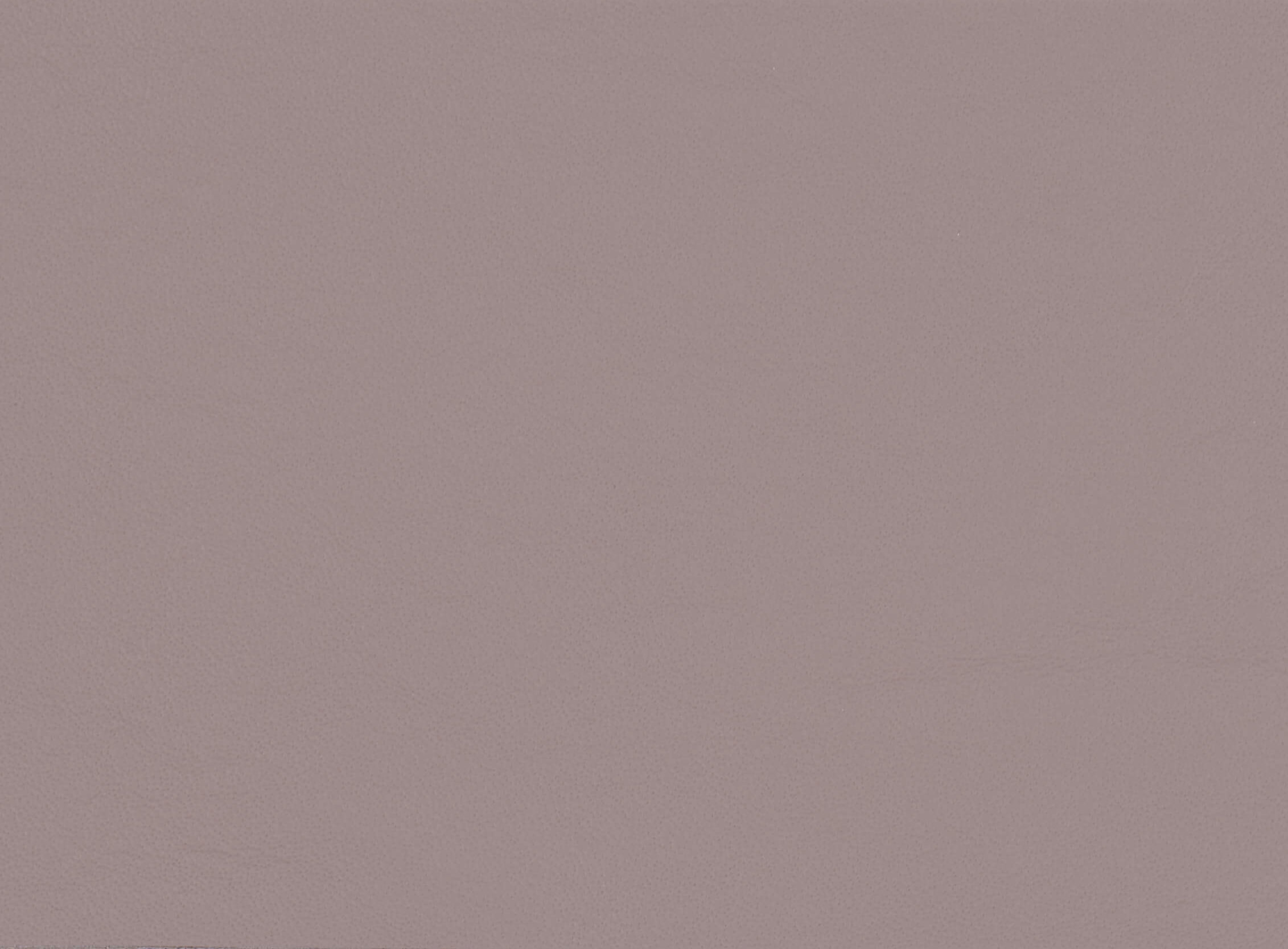 VOGUE BEIGE