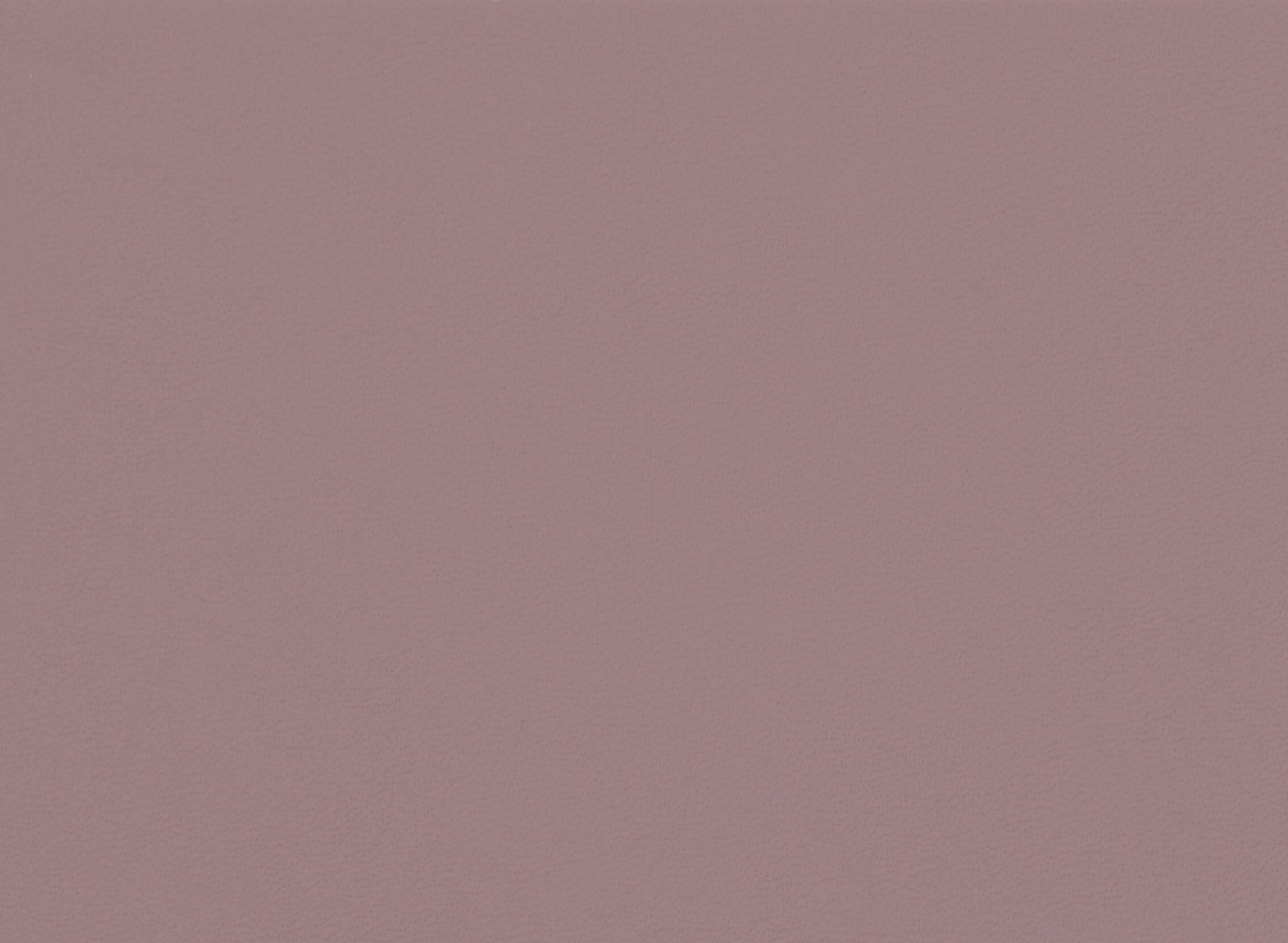 VOGUE ROSE