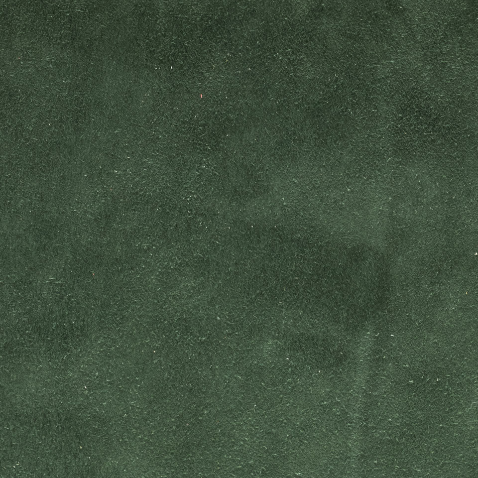 VELOUR VERDE GUCCI