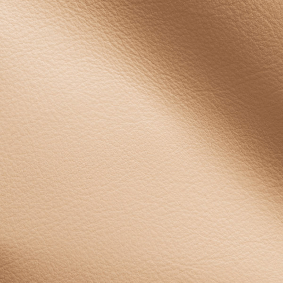 VISION APRICOT