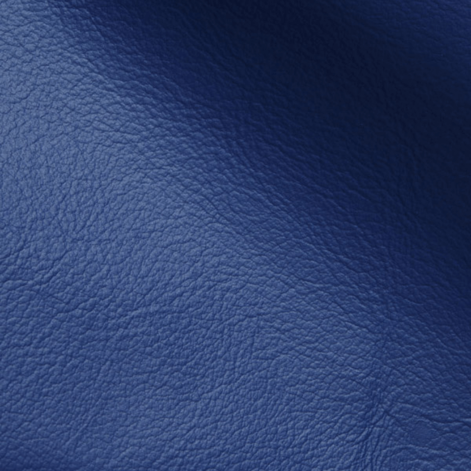 VISION BLUE
