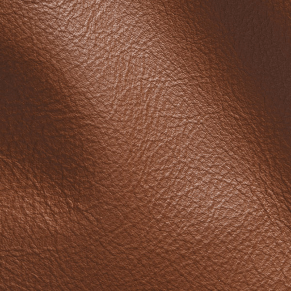 VISION BROWN