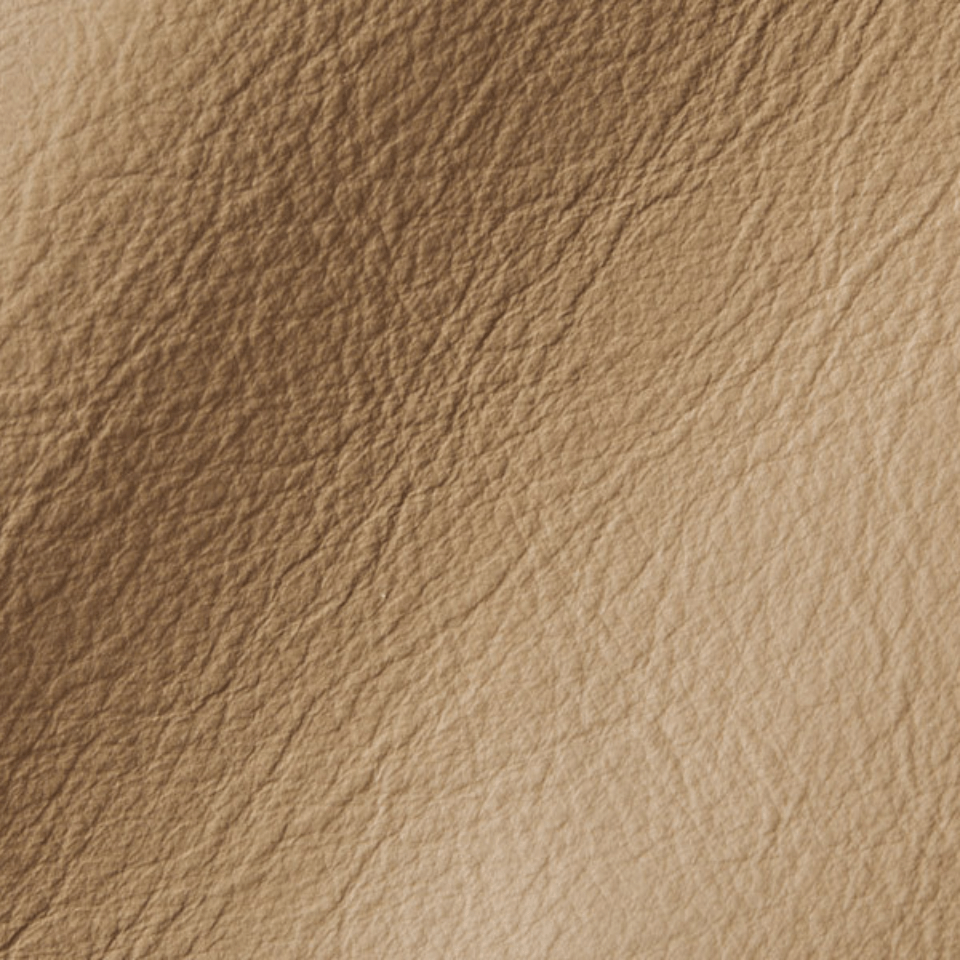 VISION DARK BEIGE