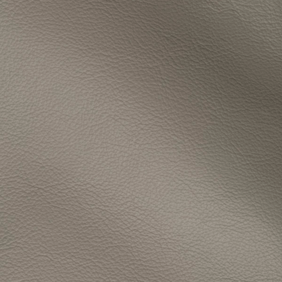 VISION DOVE GREY