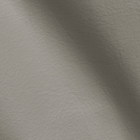 VISION GREY