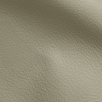 VISION GREY MIST