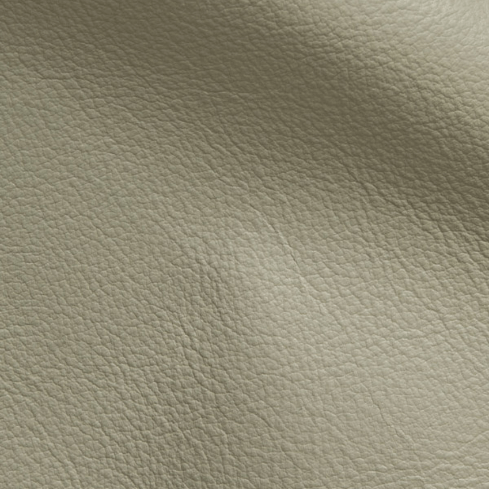 VISION GREY MIST