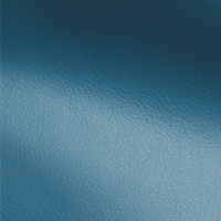 VISION INTENSE BLUE