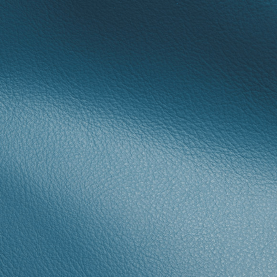 VISION INTENSE BLUE