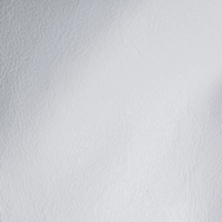VISION WHITE