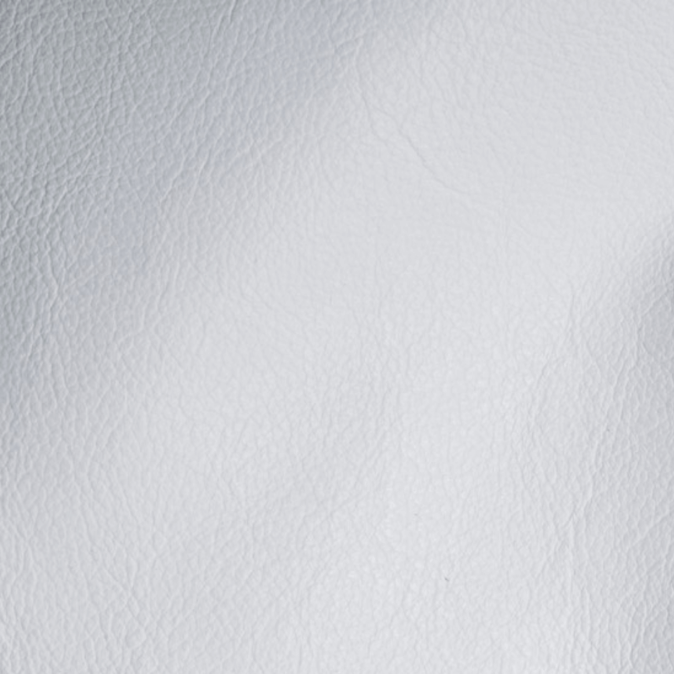 VISION WHITE