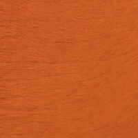 VITELLINA SHORT 9029 ARAGOSTA