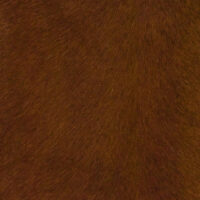 VITELLINA SHORT 9015 BAIO