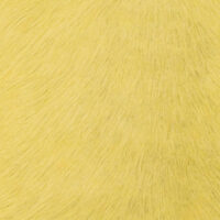 VITELLINA SHORT 9004 BANANA