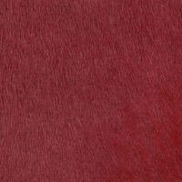 VITELLINA SHORT CARDINALE