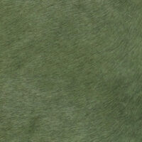 VITELLINA SHORT 9010 FOREST