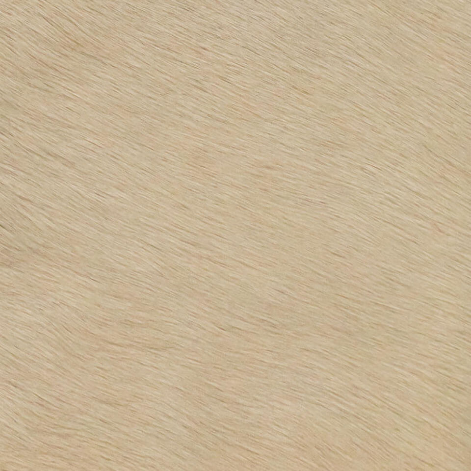 VITELLINA LONG 9031 MILK
