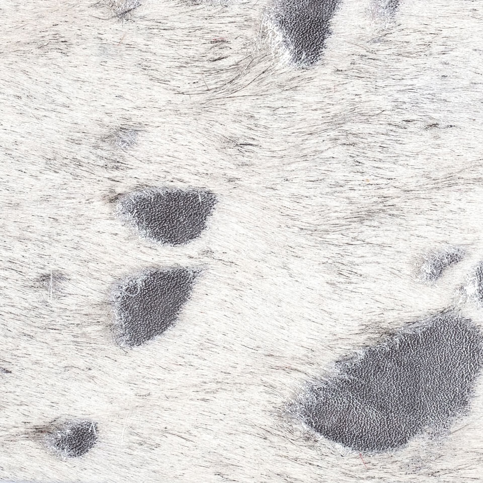 VITELLINA BICOLOUR WHITE SILVER HP
