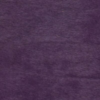 VITELLINA SHORT 9027 VIOLA