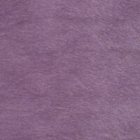 VITELLINA SHORT VIOLET