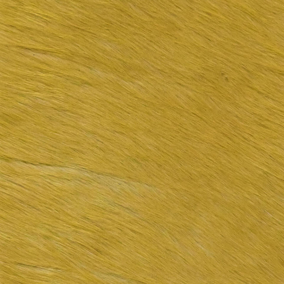 VITELLINA BICOLOUR WHITE LEMON