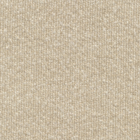 SUNA P1 TURTLEDOVE
