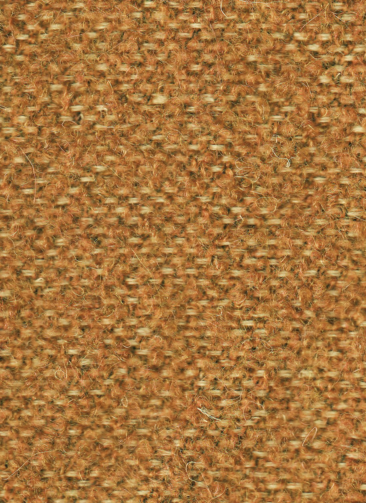 SONORA J3 SPICE