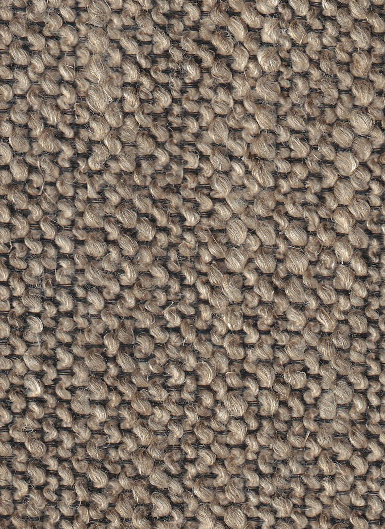 TARIFA V9 TAUPE