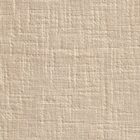 SAMOA P1 TURTLEDOVE