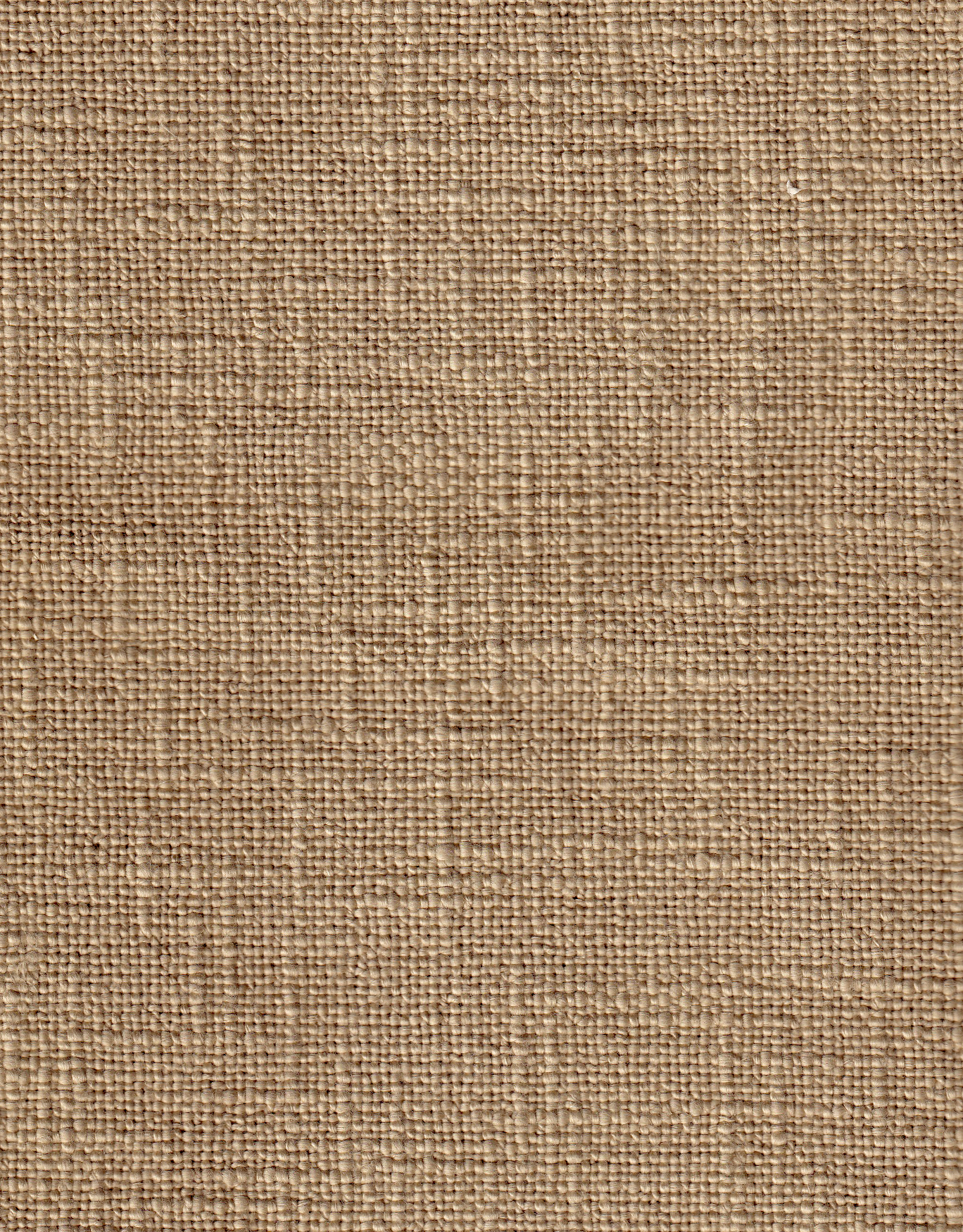 SAMOA P4 ANGORA