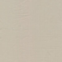 PLUM P TURTLEDOVE