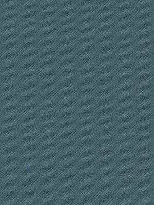 CROCUS T5 CELESTIAL