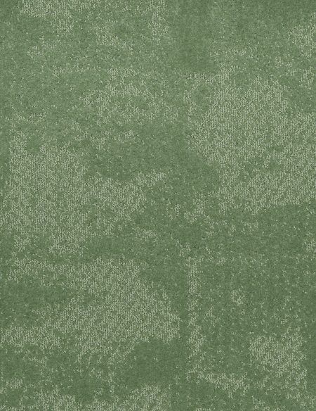 LOUVRE DALLE 253 BB