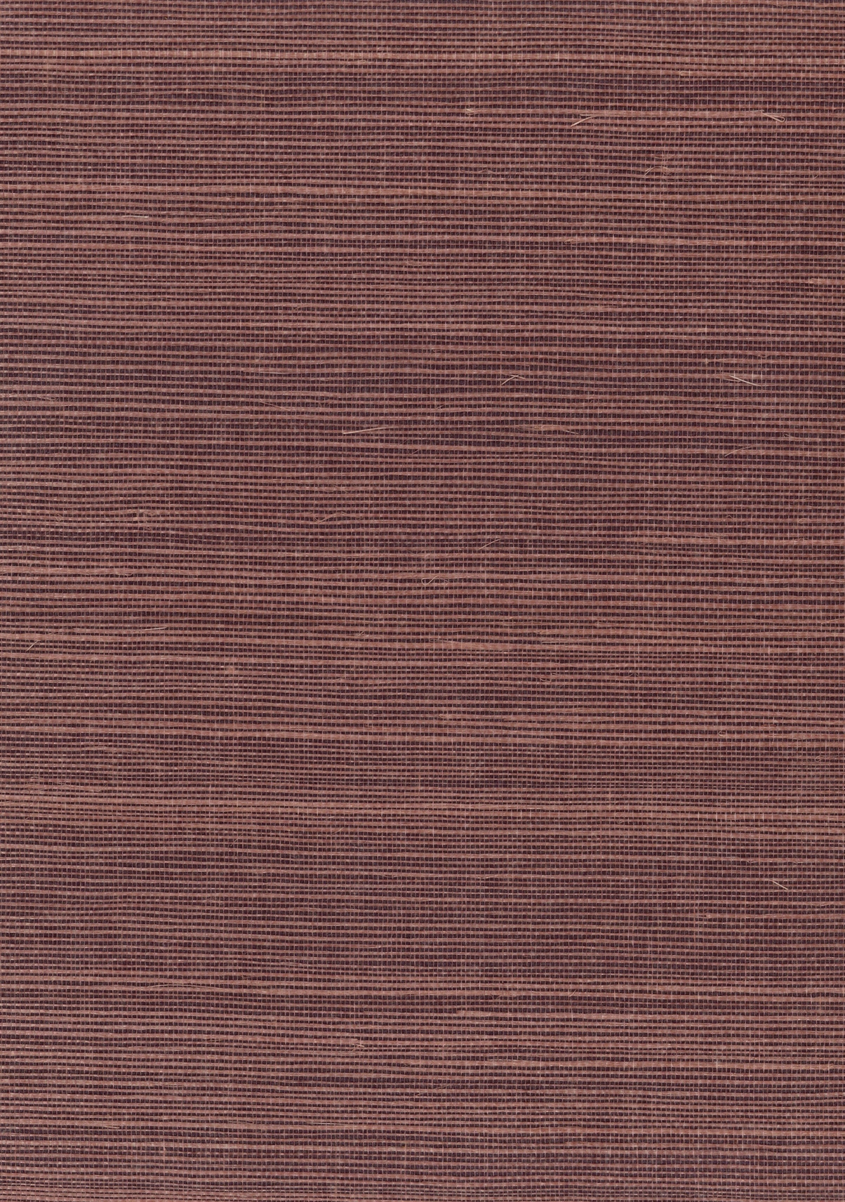 H182NS1182