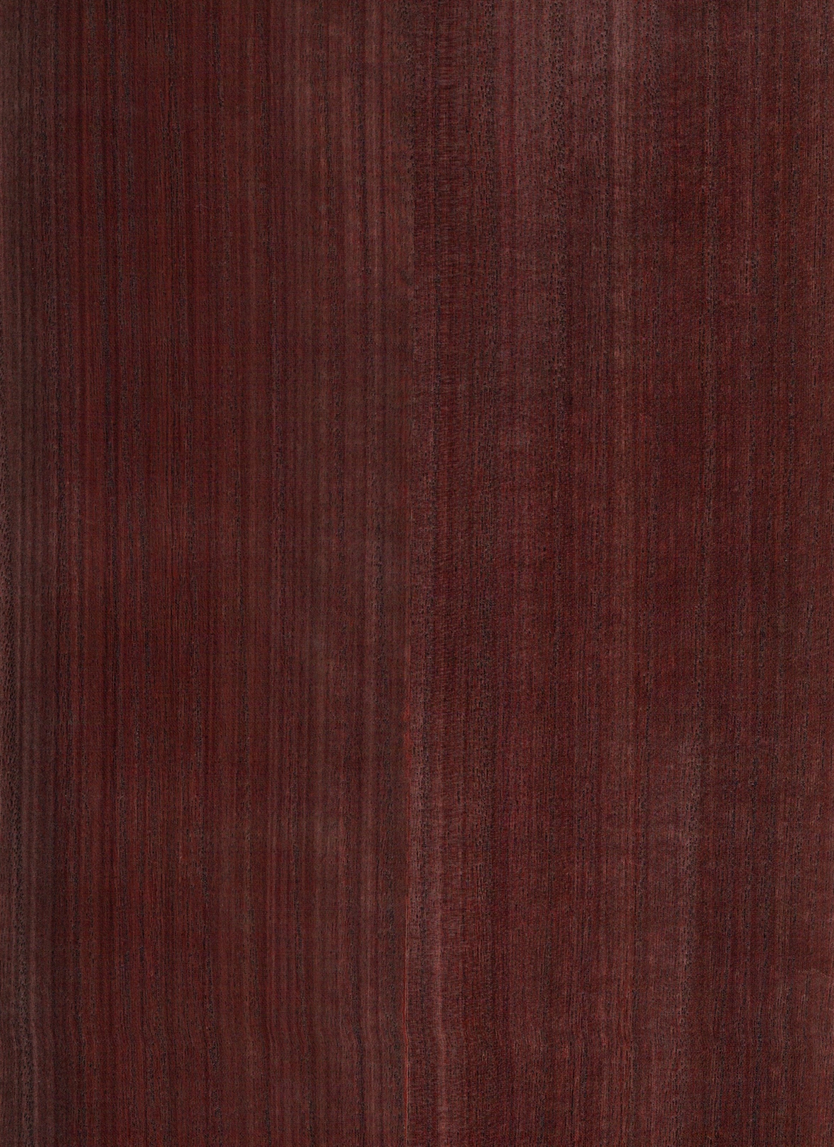 H182NV1019