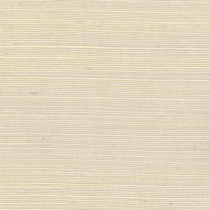 H192NS1145
