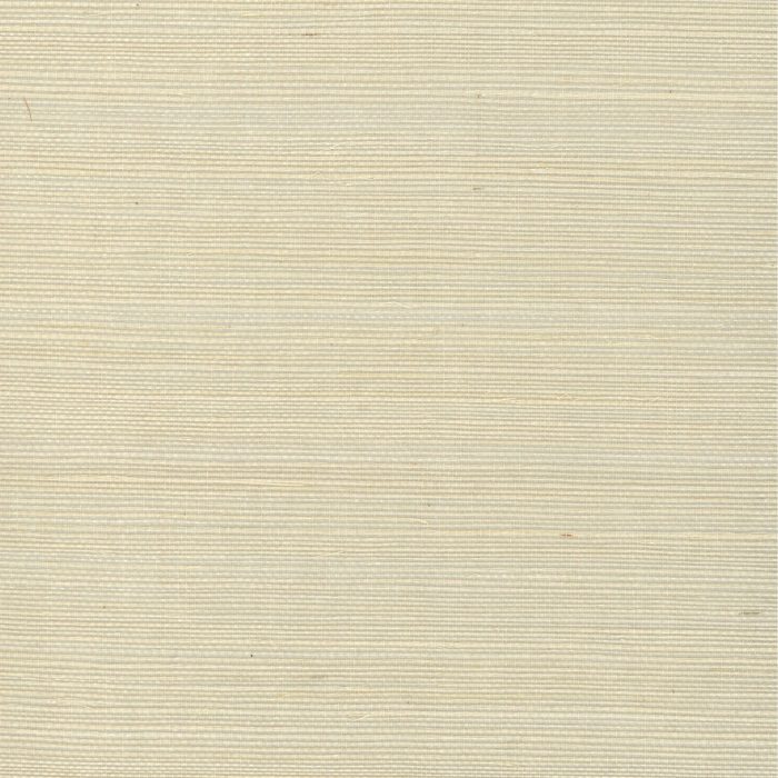 H192NS1199