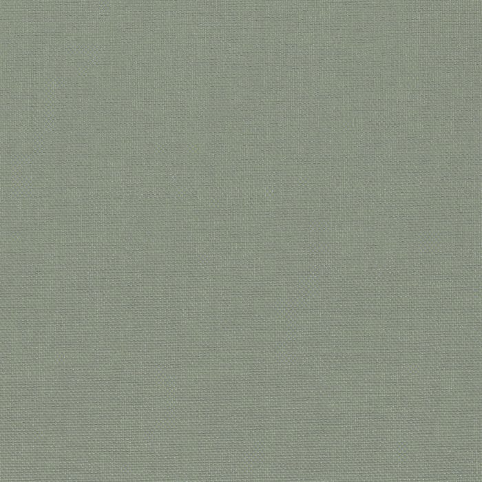 PE1529