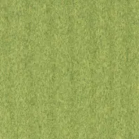 LP-2066N
