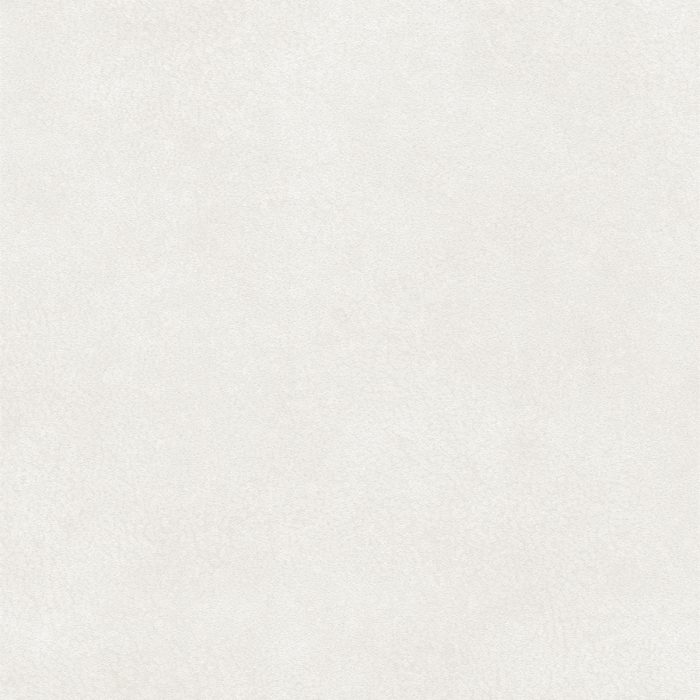 T2-MD-01 OPAL