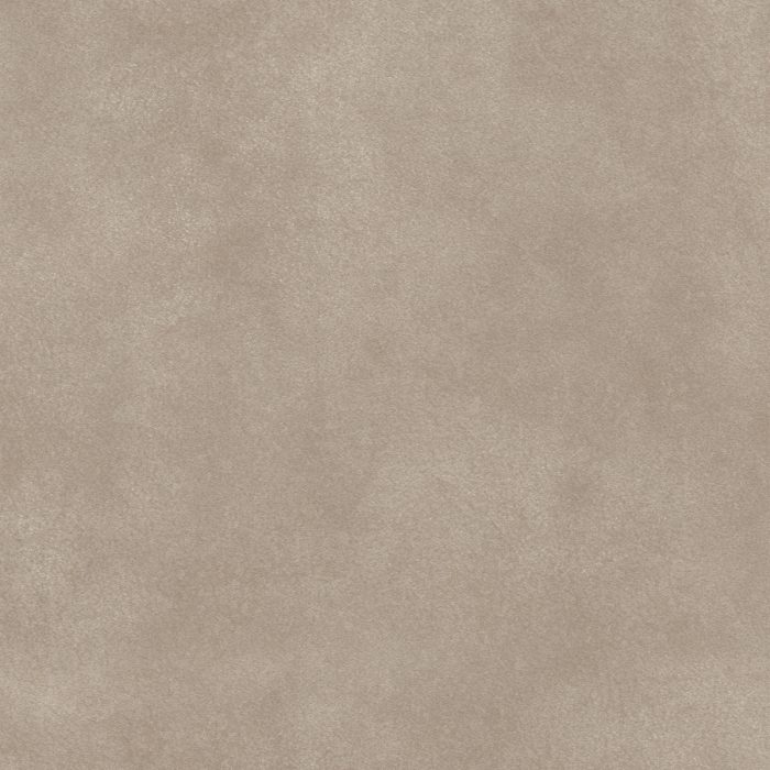 T2-MD-06 CHAMOIS